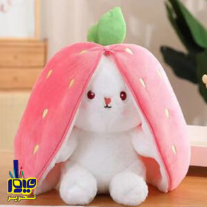 نکات مهم در خرید عروسک