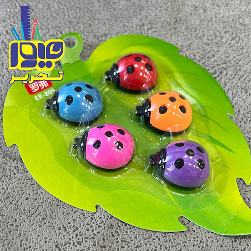 پک 5 عددی پاک کن کشفدوزک